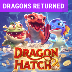 Dragon Hatch2